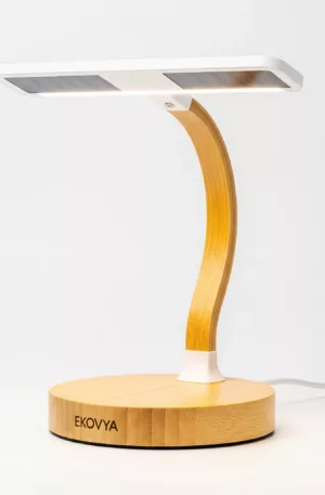 Solar LED desk lamp
